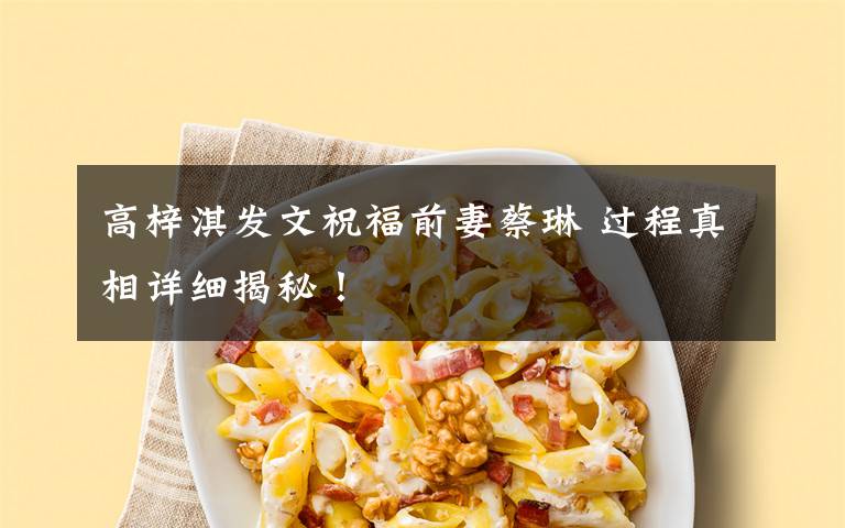 高梓淇发文祝福前妻蔡琳 过程真相详细揭秘!