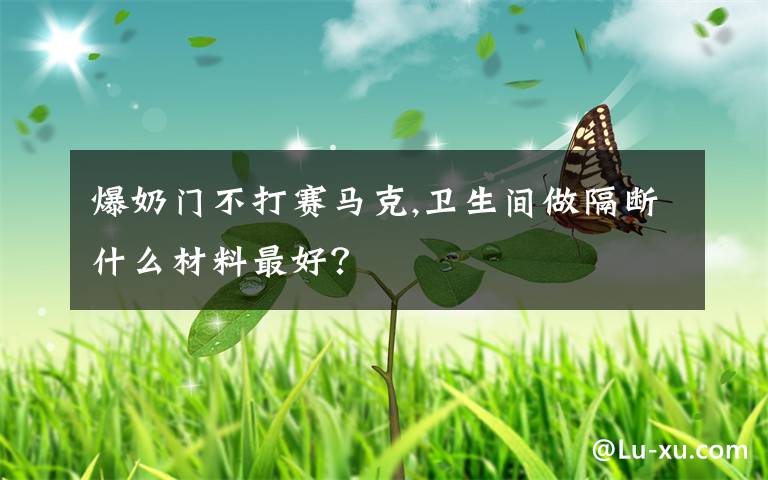 爆奶门不打赛马克,卫生间做隔断什么材料最好?