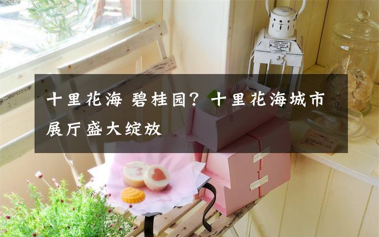 十里花海 碧桂园?十里花海城市展厅盛大绽放