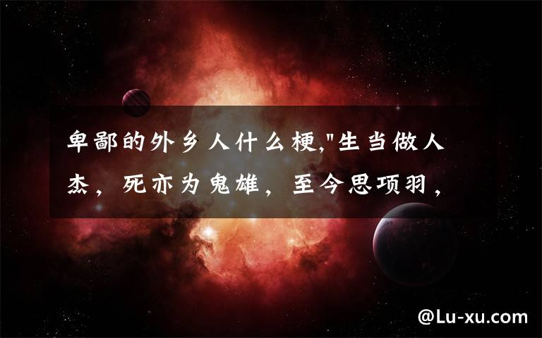 卑鄙的外乡人什么梗,