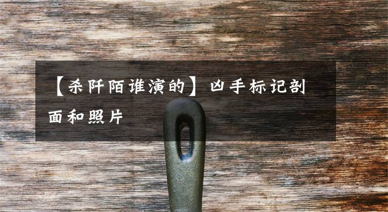 【杀阡陌谁演的】凶手标记剖面和照片