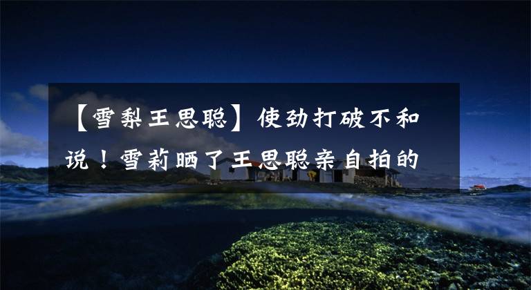 【雪梨王思聪】使劲打破不和说!雪莉晒了王思聪亲自拍的买家秀,他的丈夫公开表示感谢。