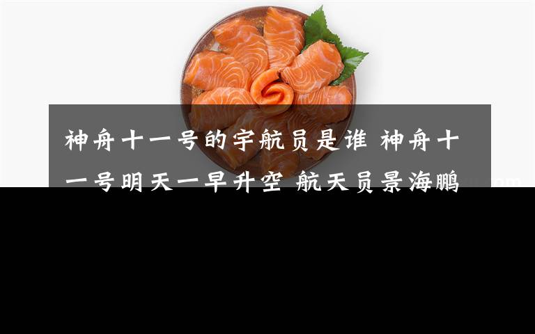 神舟十一号的宇航员是谁 神舟十一号明天一早升空 航天员景海鹏三上太空这次搭档陈冬