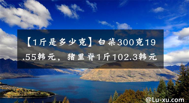 【1斤是多少克】白菜300克19.55韩元,猪里脊1斤102.3韩元.惩罚