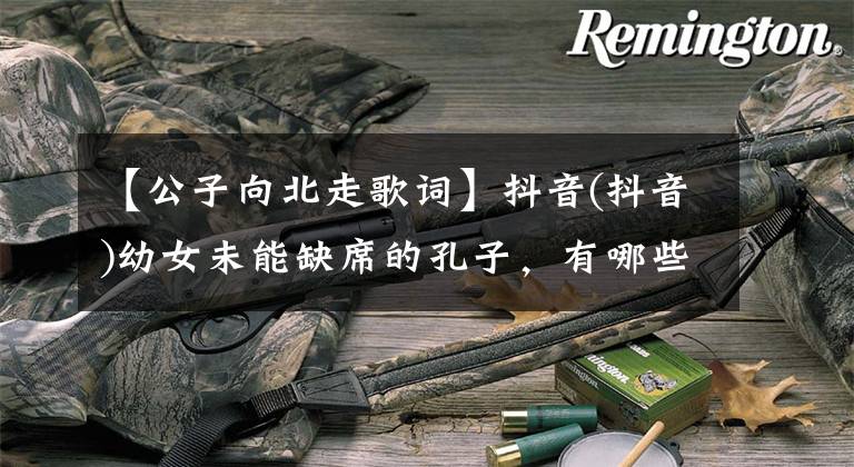 【公子向北走歌词】抖音(抖音)幼女未能缺席的孔子,有哪些歌孔子去了北方,歌词是谁唱的?