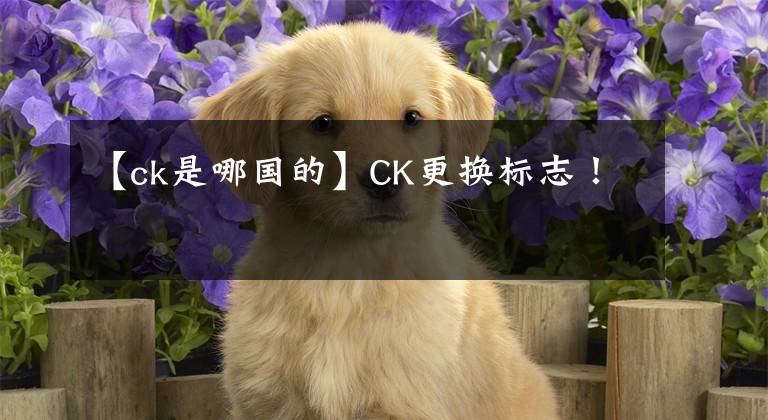 【ck是哪国的】CK更换标志!