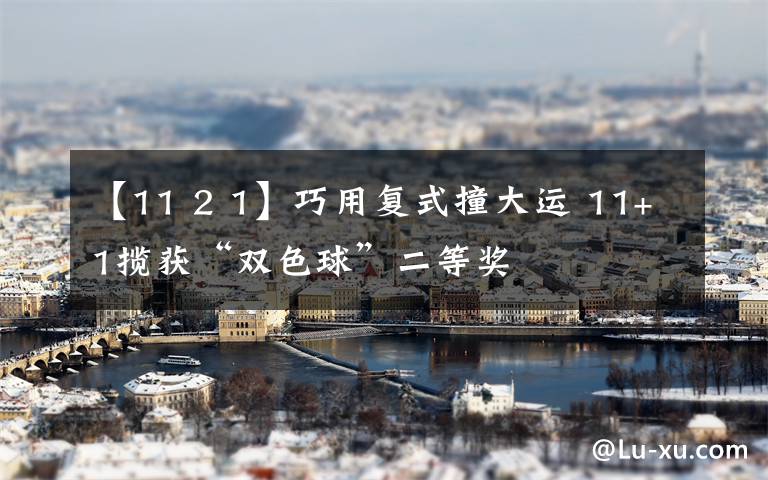 【11 2 1】巧用复式撞大运 11+1揽获“双色球”二等奖