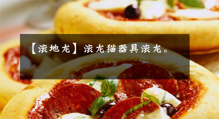 【滚地龙】滚龙猫器具滚龙。