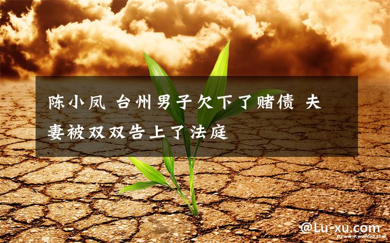 陈小凤 台州男子欠下了赌债 夫妻被双双告上了法庭