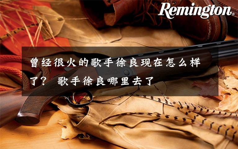 曾经很火的歌手徐良现在怎么样了？ 歌手徐良哪里去了