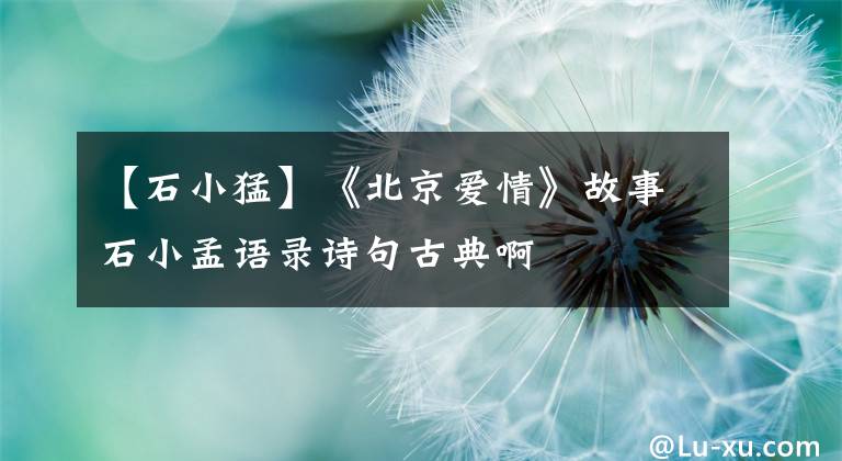 【石小猛】《北京爱情》故事石小孟语录诗句古典啊