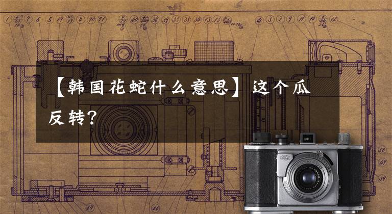 【韩国花蛇什么意思】这个瓜反转？