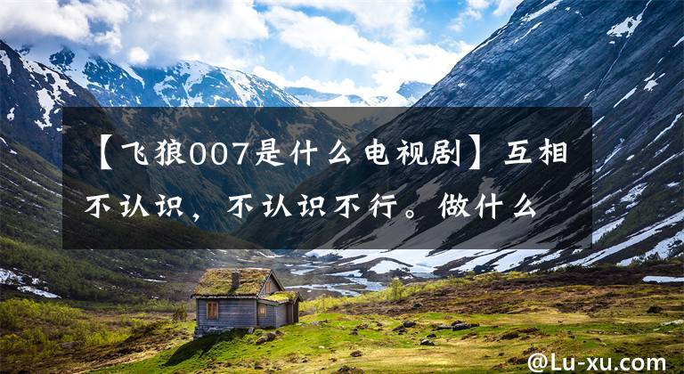 【飞狼007是什么电视剧】互相不认识，不认识不行。做什么事都不做。(不要去)