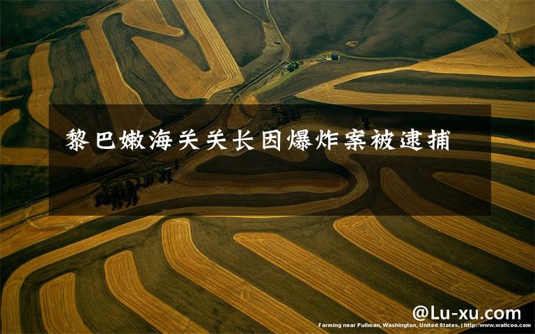 黎巴嫩海关关长因爆炸案被逮捕