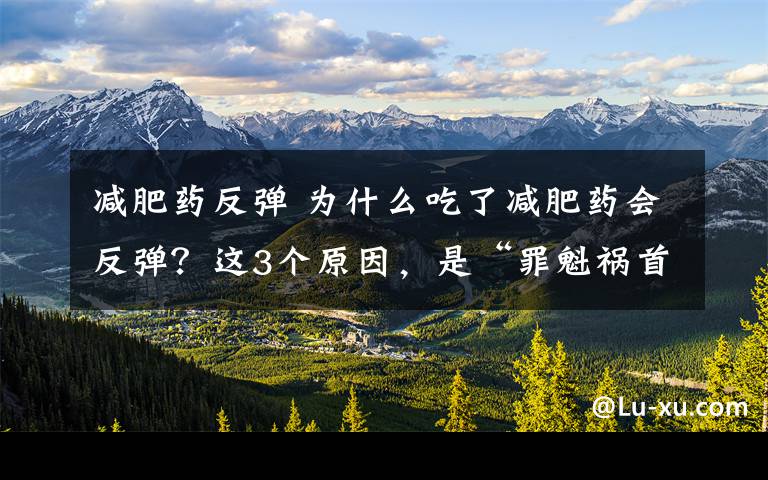 减肥药反弹 为什么吃了减肥药会反弹？这3个原因，是“罪魁祸首”