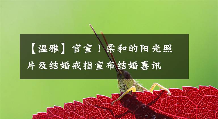 【温雅】官宣！柔和的阳光照片及结婚戒指宣布结婚喜讯