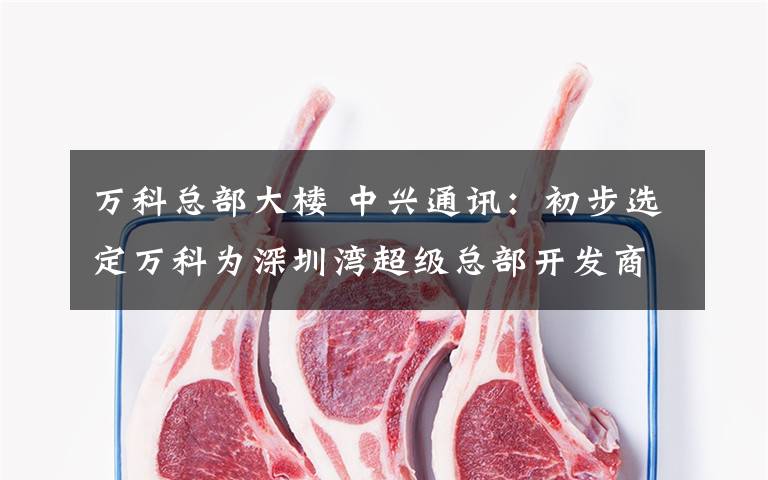万科总部大楼 中兴通讯:初步选定万科为深圳湾超级总部开发商