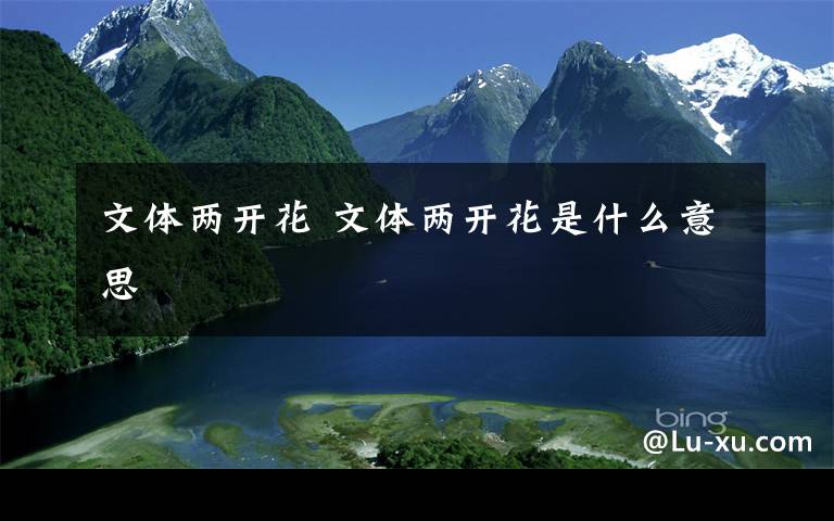文体两开花 文体两开花是什么意思