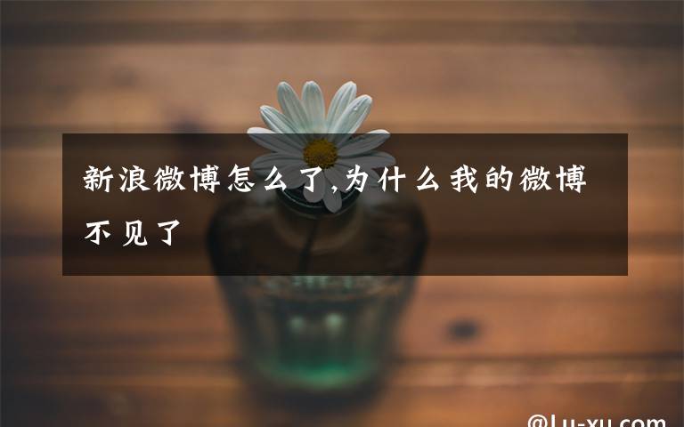 新浪微博怎么了,为什么我的微博不见了