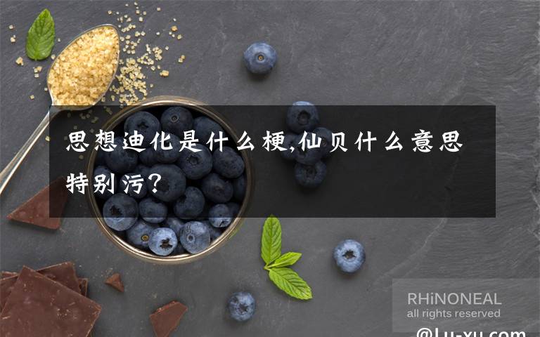 思想迪化是什么梗,仙贝什么意思特别污？