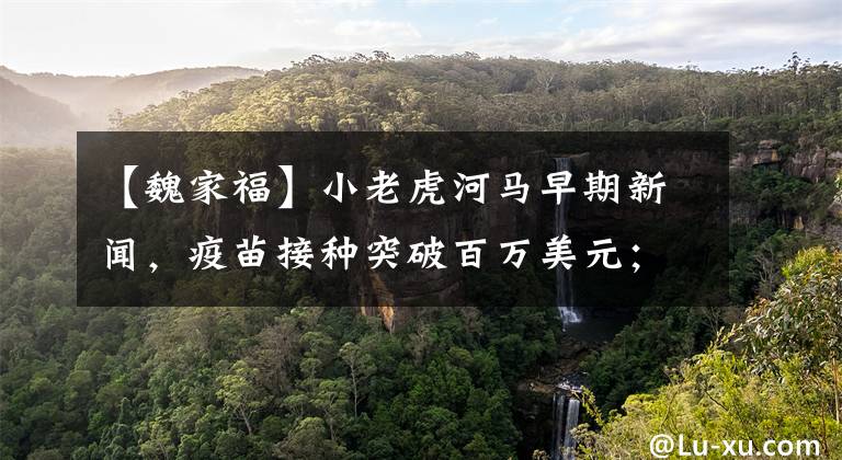 【魏家福】小老虎河马早期新闻，疫苗接种突破百万美元；黄河流域风景名胜区开发滨州宣言发表