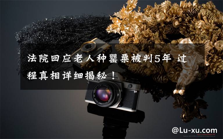 法院回应老人种罂粟被判5年 过程真相详细揭秘!