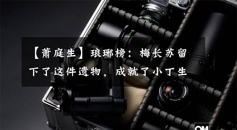 【萧庭生】琅琊榜:梅长苏留下了这件遗物,成就了小丁生,最后杀死了小丁生。