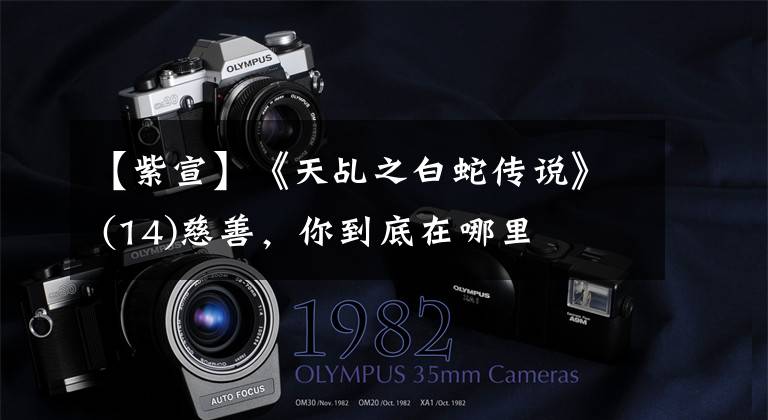 【紫宣】《天乩之白蛇传说》 (14)慈善,你到底在哪里