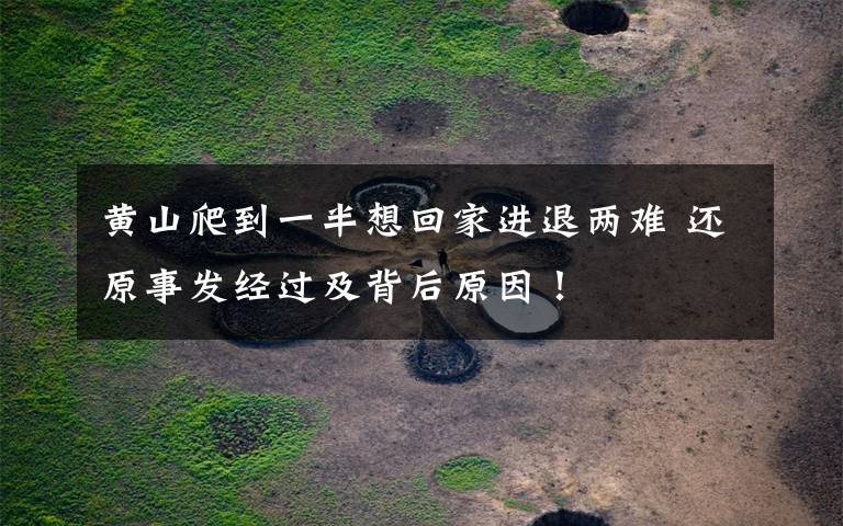 黄山爬到一半想回家进退两难 还原事发经过及背后原因!