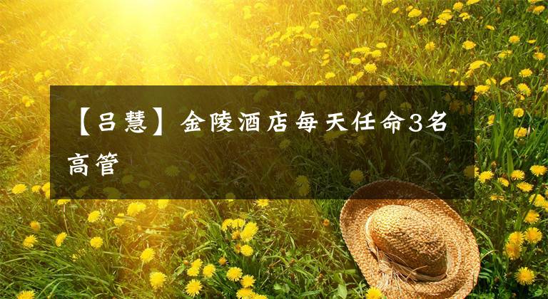 【吕慧】金陵酒店每天任命3名高管