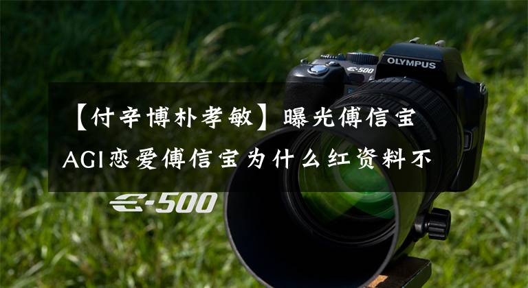 【付辛博朴孝敏】曝光傅信宝AGI恋爱傅信宝为什么红资料不掉？