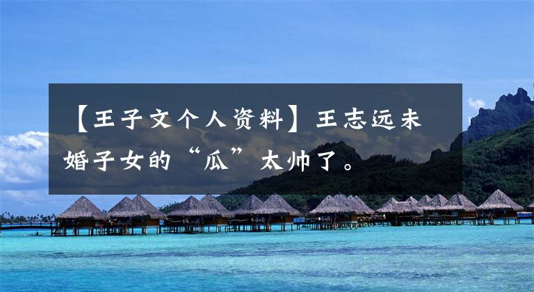 【王子文个人资料】王志远未婚子女的“瓜”太帅了。