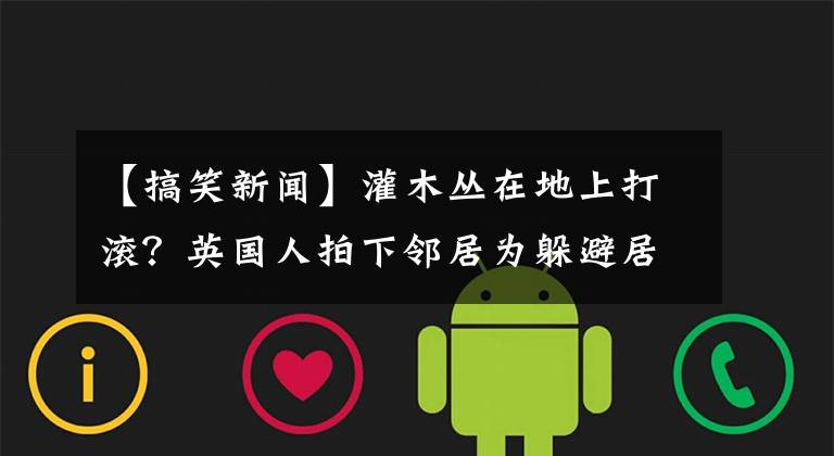【搞笑新闻】灌木丛在地上打滚？英国人拍下邻居为躲避居家政策的搞笑一幕
