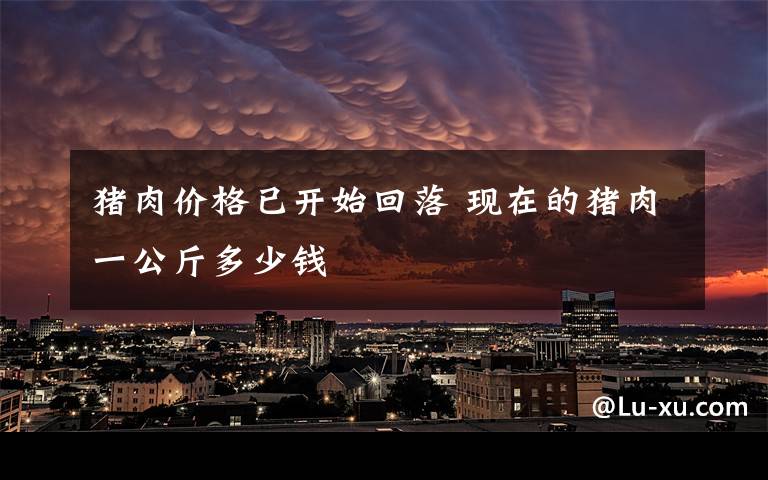 猪肉价格已开始回落 现在的猪肉一公斤多少钱