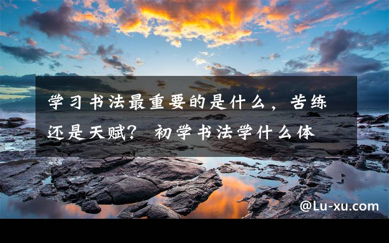 学习书法最重要的是什么,苦练还是天赋? 初学书法学什么体