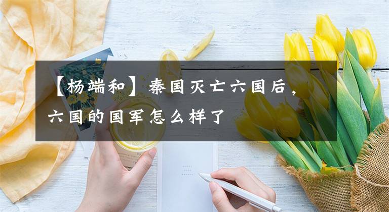 【杨端和】秦国灭亡六国后,六国的国军怎么样了