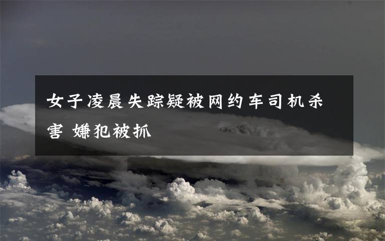 女子凌晨失踪疑被网约车司机杀害 嫌犯被抓