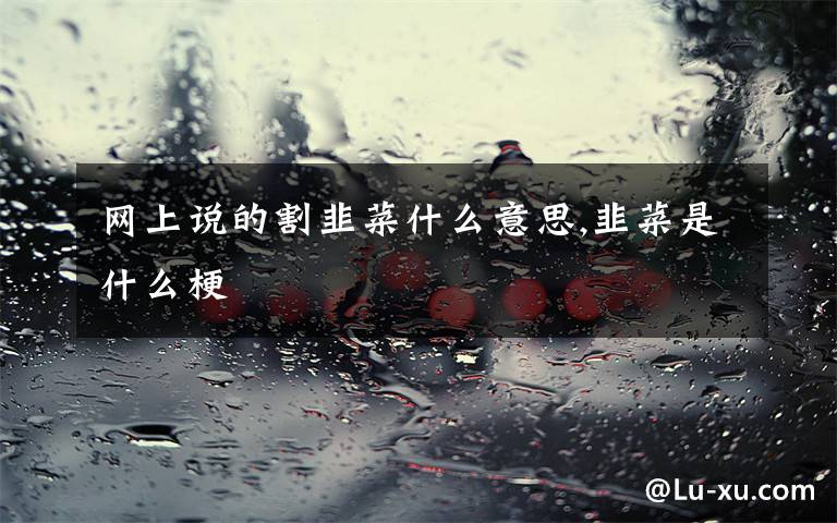 网上说的割韭菜什么意思,韭菜是什么梗