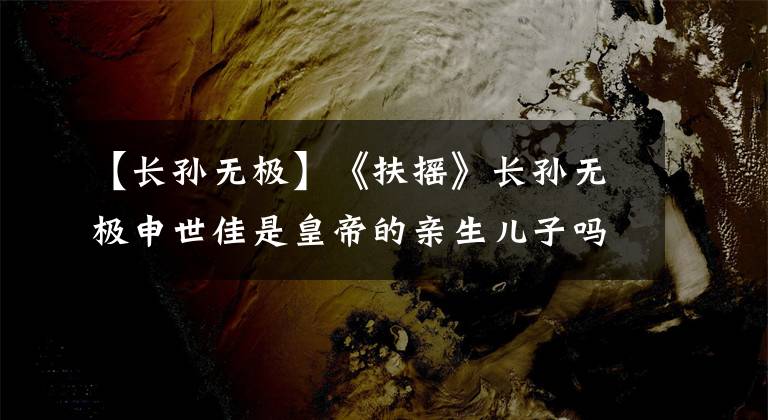 【长孙无极】《扶摇》长孙无极申世佳是皇帝的亲生儿子吗?