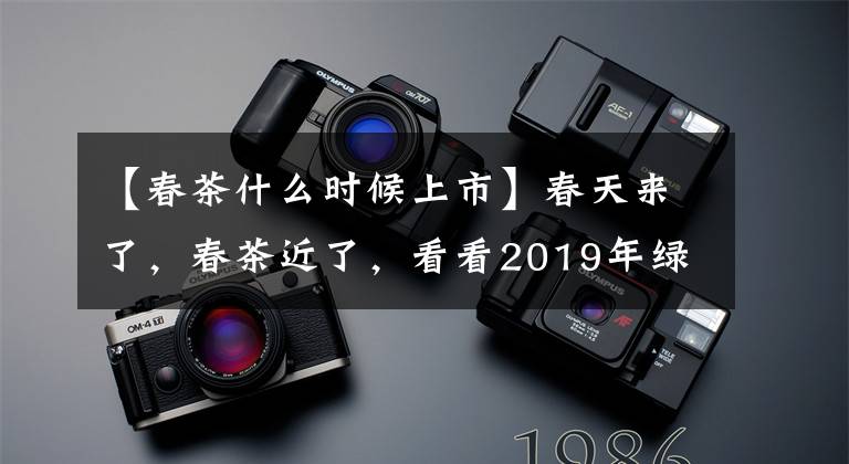 【春茶什么时候上市】春天来了，春茶近了，看看2019年绿茶白茶红茶乌龙茶黄茶上市时间