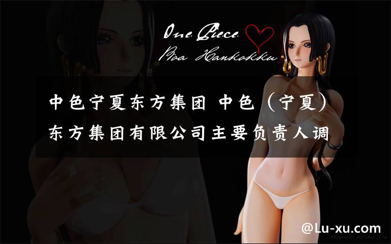 中色宁夏东方集团 中色(宁夏)东方集团有限公司主要负责人调整