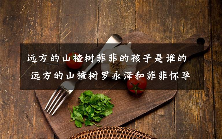 远方的山楂树菲菲的孩子是谁的 远方的山楂树罗永泽和菲菲怀孕