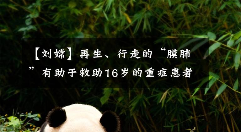 【刘嫦】再生、行走的“膜肺”有助于救助16岁的重症患者少女