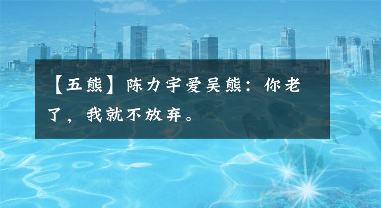 【五熊】陈力宇爱吴熊：你老了，我就不放弃。