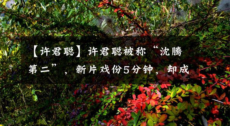 【许君聪】许君聪被称“沈腾第二”，新片戏份5分钟，却成了“主角”