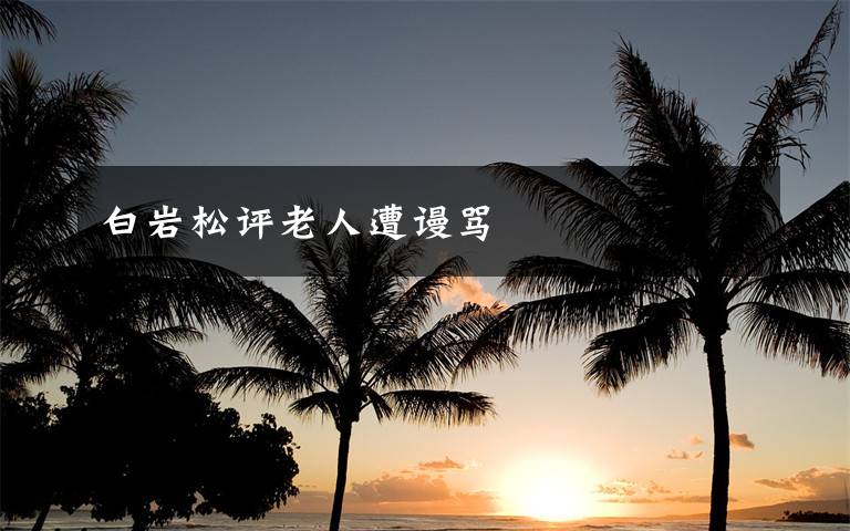 白岩松评老人遭谩骂