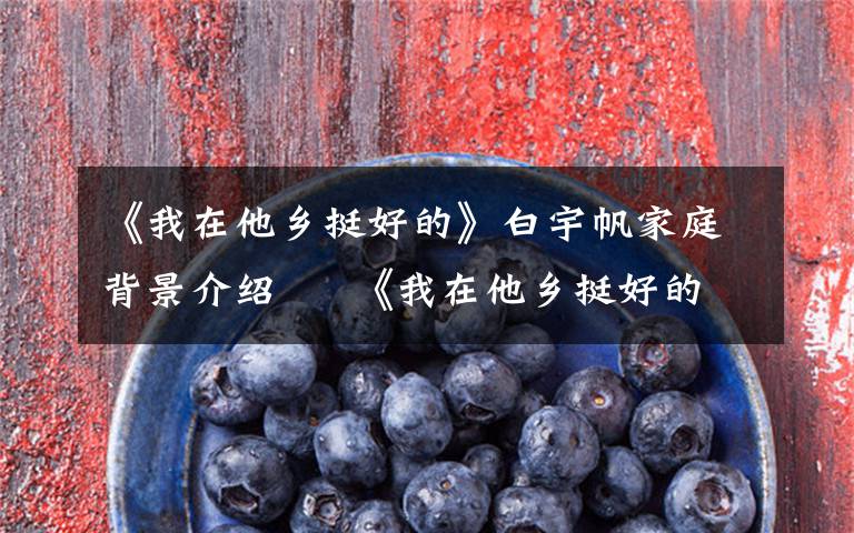 《我在他乡挺好的》白宇帆家庭背景介绍     《我在他乡挺好的》白宇帆结婚了吗