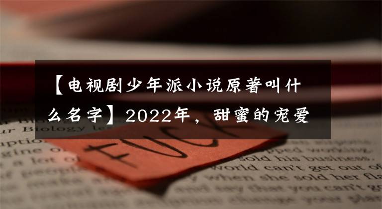 【电视剧少年派小说原著叫什么名字】2022年，甜蜜的宠爱和城市情感进一步融合，类型剧报告(2)