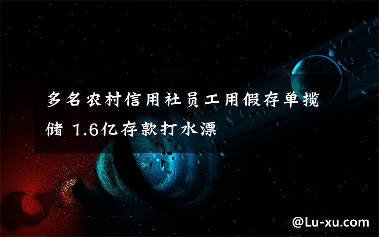 多名农村信用社员工用假存单揽储 1.6亿存款打水漂