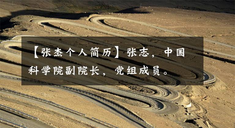 【张杰个人简历】张志,中国科学院副院长,党组成员。